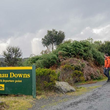 Lone Moose Backpackers Hostel Te Anau Bagian luar foto
