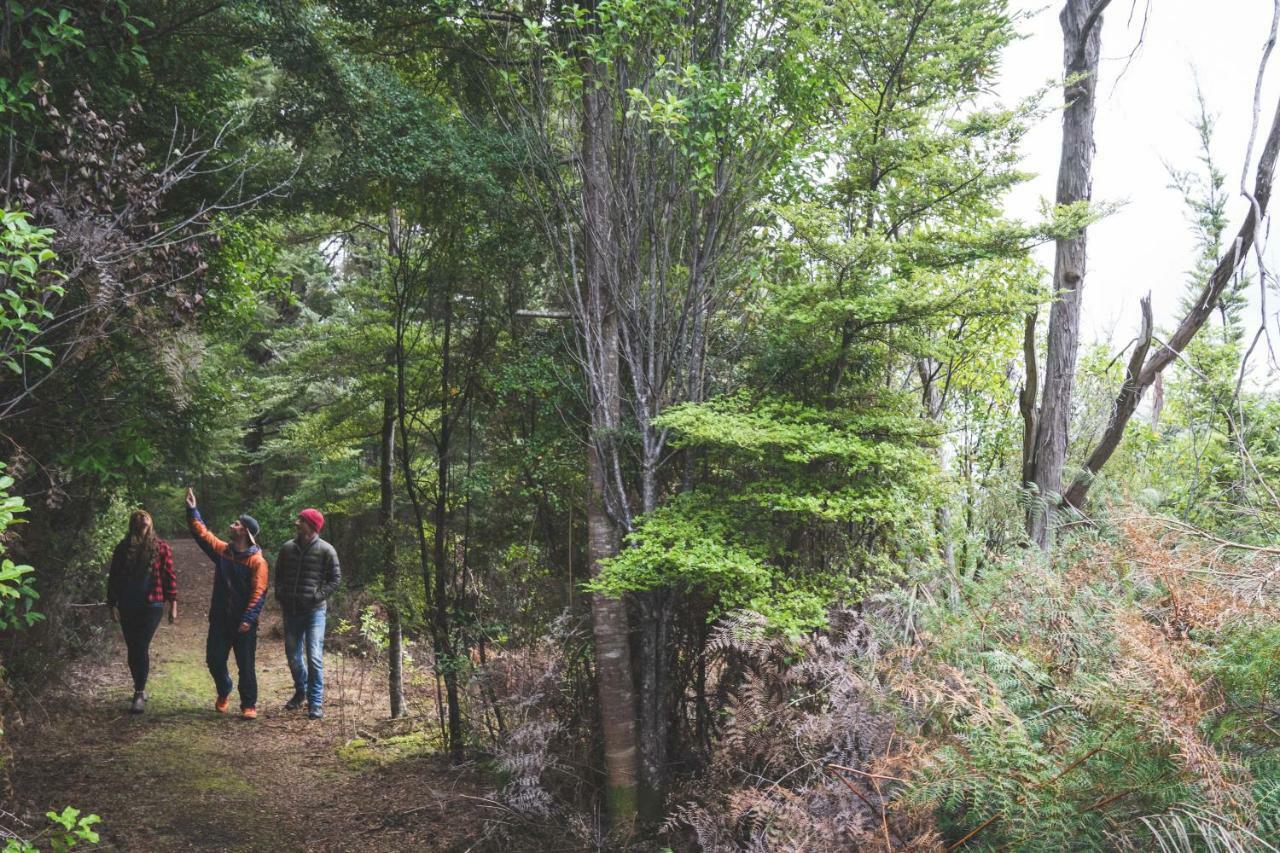 Lone Moose Backpackers Hostel Te Anau Bagian luar foto